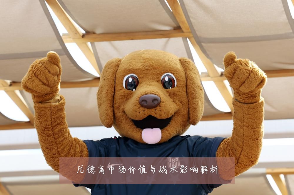 厄德高中场价值与战术影响解析